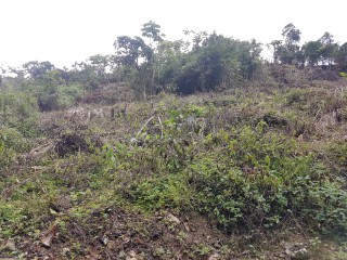 Residential lot For Sale in Red Hills, Kingston / St. Andrew Jamaica | [1]