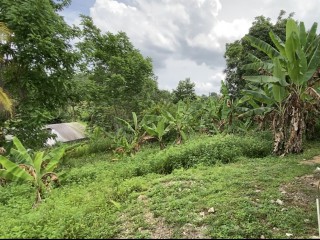 House For Sale in Dawkins District Mocho, Clarendon Jamaica | [5]