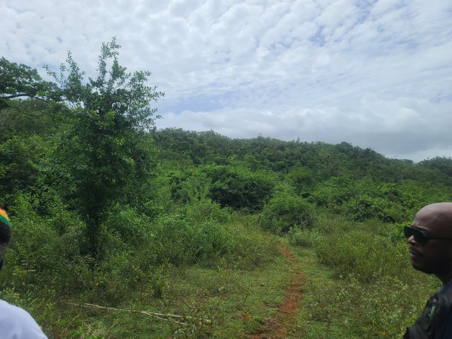 Development Land (Residential) For Sale in OldHope little london, Westmoreland Jamaica | [6]