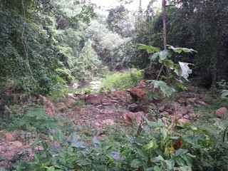 Commercial/farm land For Sale in Rock River, Clarendon Jamaica | [5]
