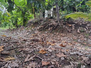 2 bed Commercial/farm land For Sale – Wilmington, St. Thomas, Jamaica