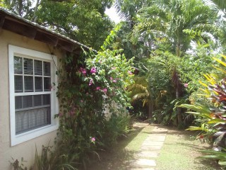 House For Rent in Country Club, Hanover Jamaica | [3]