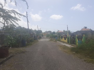 Residential lot For Sale in Milk River, Clarendon Jamaica | [4]