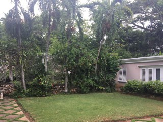 House For Sale in Shaw Park, St. Ann Jamaica | [7]