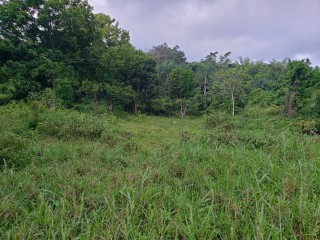 Commercial/farm land For Sale in Watermount, St. Catherine Jamaica | [1]