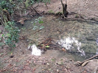 Land For Sale – Grange Hill, Portland, Jamaica