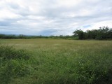 Commercial/farm land For Sale in Rhymesbury, Clarendon Jamaica | [10]