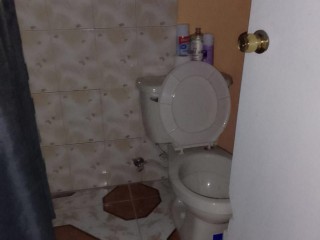 House For Rent in Mona, Kingston / St. Andrew Jamaica | [7]