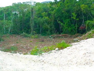 Land For Sale in Lot 525 Orchard Gardens Gated, Hanover Jamaica | [3]