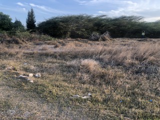 Residential lot For Sale in Treasure Beach, St. Elizabeth Jamaica | [2]