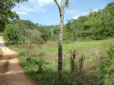 Commercial/farm land For Sale in Browns Town, St. Ann Jamaica | [6]