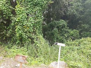 Residential lot For Sale in Coopers Hill Red Hills KGN 19, Kingston / St. Andrew, Jamaica