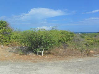 Residential lot For Sale in Hellshire, St. Catherine Jamaica | [2]