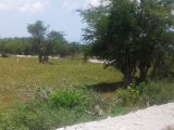 Residential lot For Sale in Lacovia, St. Elizabeth Jamaica | [8]