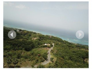 Land For Sale in Whitehouse, Westmoreland, Jamaica