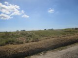 Commercial/farm land For Sale in May Pen, Clarendon Jamaica | [1]