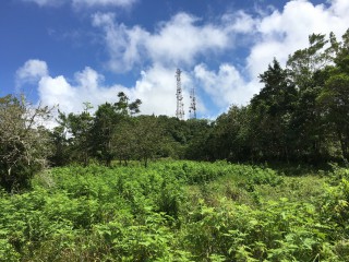 Residential lot For Sale in Chippenham Park Bamboo, St. Ann Jamaica | [3]
