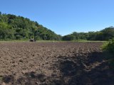 Commercial/farm land For Sale in Rock River, Clarendon Jamaica | [2]
