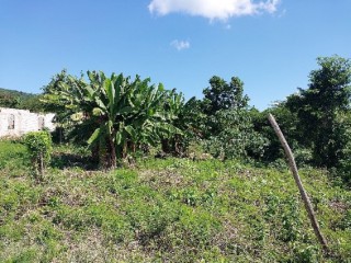 Residential lot For Sale in Phamphery, St. Thomas, Jamaica