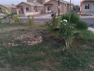 House For Rent in Pheonix Park Village 2 Greater Portmore, St. Catherine Jamaica | [12]