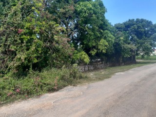 Residential lot For Sale in Duncans, Trelawny Jamaica | [2]