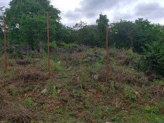Residential lot For Sale in Red Ground Old Harbour, St. Catherine Jamaica | [5]