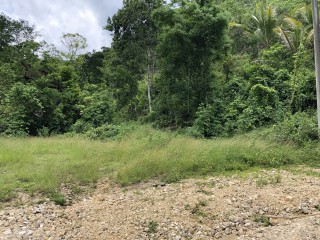 Commercial/farm land For Sale in Dover Castle Redwood St Catherine, St. Catherine, Jamaica