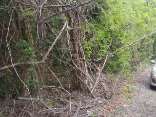 Residential lot For Sale in Albion Heights Farms Limited, St. Thomas Jamaica | [7]