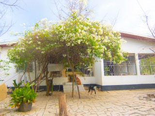 House For Sale in Near Denbigh, Clarendon Jamaica | [6]