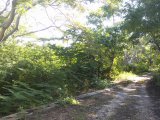 Resort/vacation property For Sale in Round Hill, Hanover Jamaica | [10]
