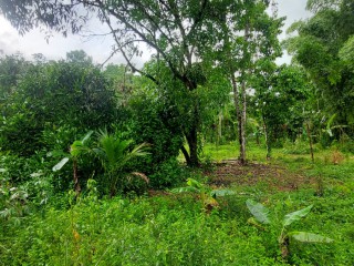 Land For Sale – Bunkers, Trelawny, Jamaica