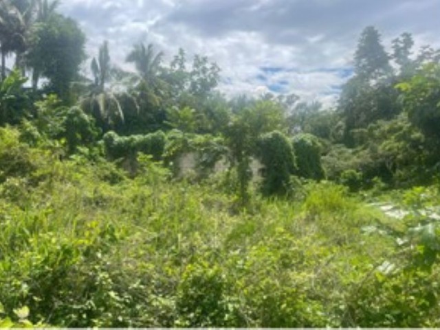 Residential lot For Sale in Linstead, St. Catherine Jamaica | [2]