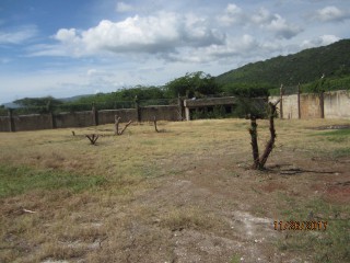 Residential lot For Sale in Alligator Pond, Manchester Jamaica | [7]