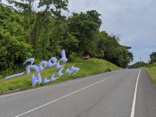  For Sale in Spring Mount, Portland Jamaica | [3]