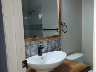 Apartment For Rent in Torrie Ave, Kingston / St. Andrew Jamaica | [3]