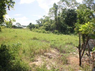 Development Land (Residential) For Sale in Santa Cruz, St. Elizabeth Jamaica | [3]