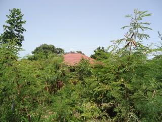 BRAZILETTO HOUSING SCHEME, Clarendon, Jamaica - House for Sale