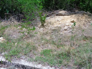 Residential lot For Sale in Rest Haven Bull Bay, Kingston / St. Andrew Jamaica | [4]