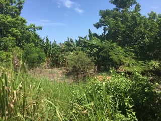 Residential lot For Sale in Vista Del Mar, St. Ann Jamaica | [3]