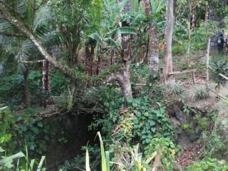 Commercial land For Sale in Lottery, St. James Jamaica | [4]