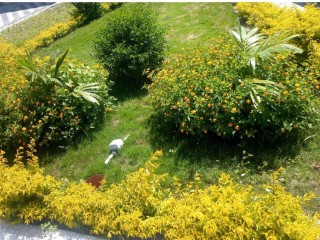 House For Rent in Portmore St Catherine, St. Catherine Jamaica | [3]