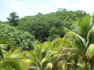 Commercial/farm land For Sale in Bog walk, St. Catherine Jamaica | [8]