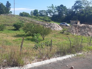 Residential lot For Sale in Newport, Manchester Jamaica | [4]