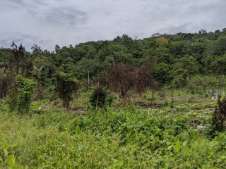  For Sale in Spring Mount, Portland Jamaica | [14]