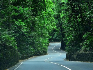Land For Sale in Jackson Heights, St. Ann Jamaica | [11]