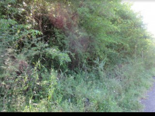 Residential lot For Sale in WHITEHALL, Westmoreland Jamaica | [2]