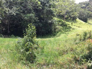 Residential lot For Sale in Chippenham Park Bamboo, St. Ann Jamaica | [14]