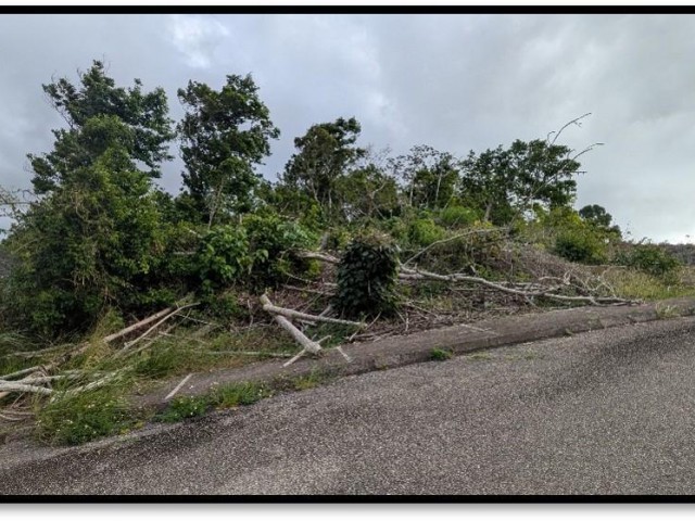 Residential lot For Sale in MOORLANDS MANOR, Manchester Jamaica | [2]