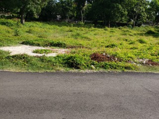 Land For Sale in Lionel town, Clarendon Jamaica | [7]