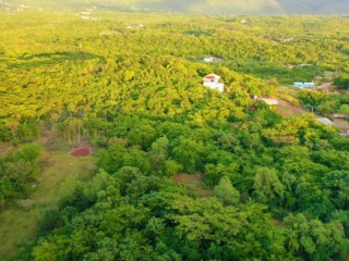 Land For Sale in Nain, St. Elizabeth, Jamaica